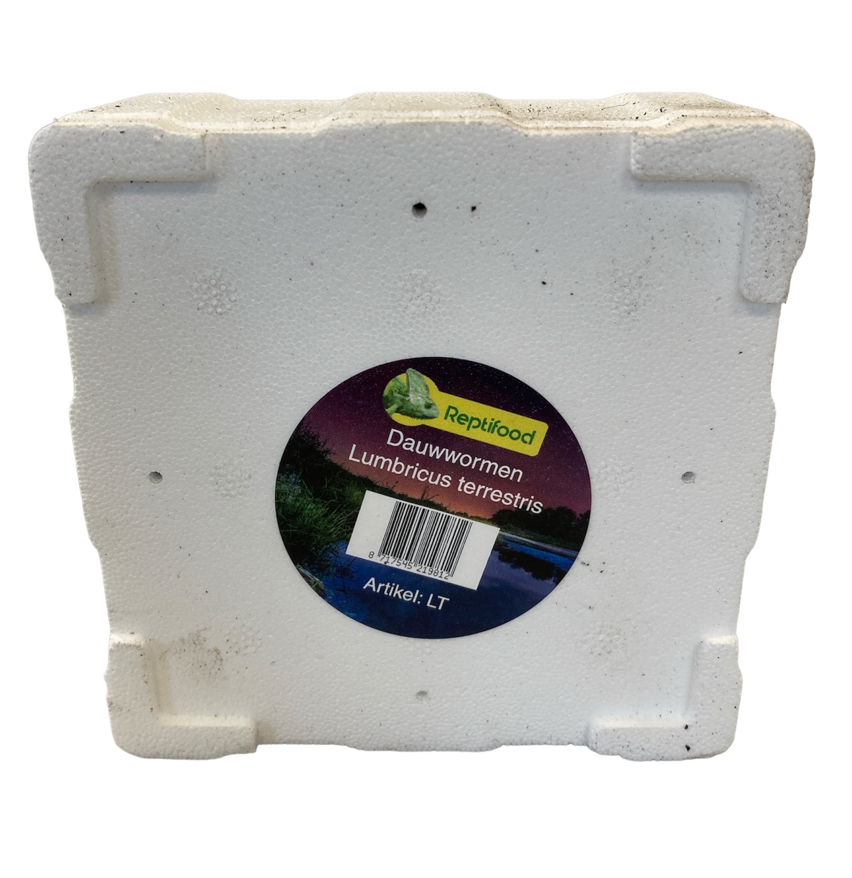 Dauwwormen in tempex bakje 12 st.